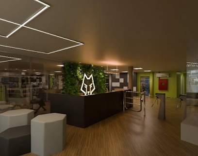 Academia Follow Fit Nova América