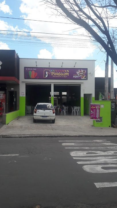 Pinguim Sorveteria e Açaí
