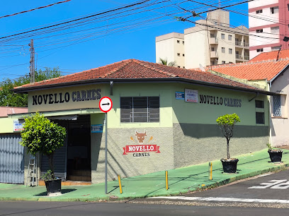 Novello Carnes