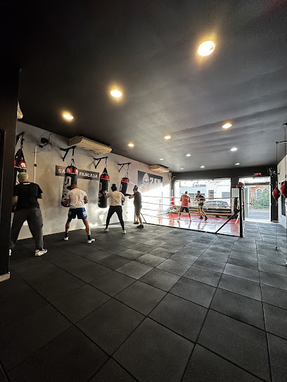 Zandoval Boxing