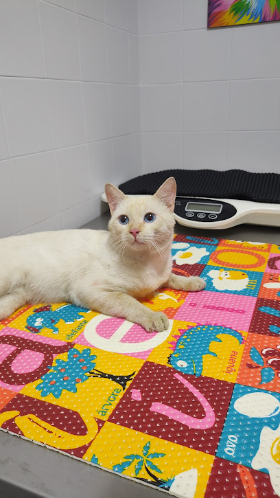Animavet Clínica Veterinária 24h