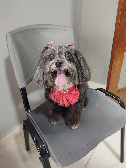 Vetpet Derma Oto