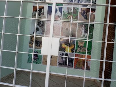 Pet House Clínica Veterinária 24h