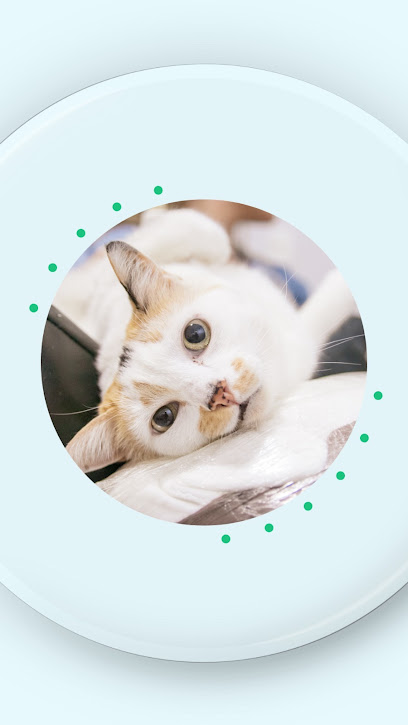 Ultrapet