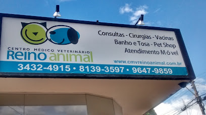 Reino Animal