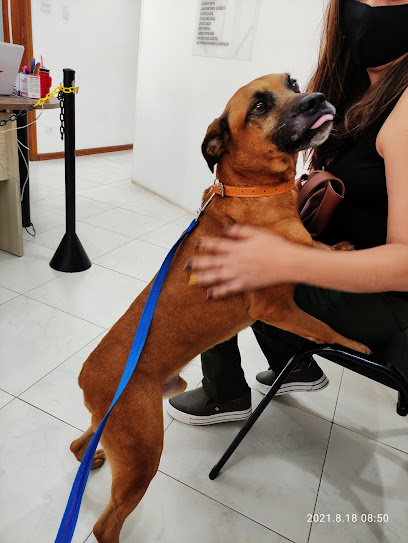Cesvet - Centro de Especialidades Veterinárias