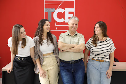 TCE Contabilidade Digital